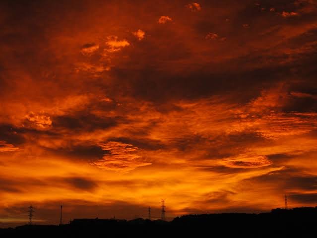 CB6C5EC7-1D85-4F8E-9454-569BCDB62F45