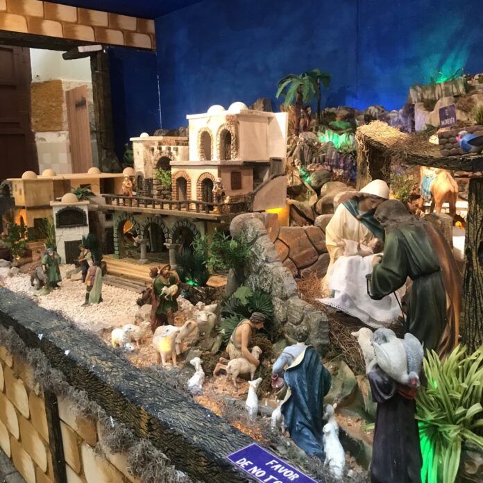 photo1639522938