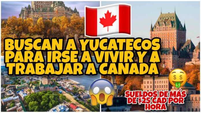 photo_2022-06-03 17.13.22