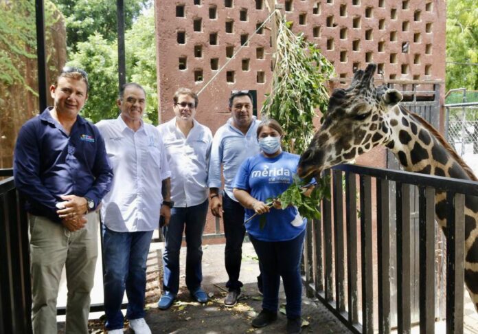 zoologico