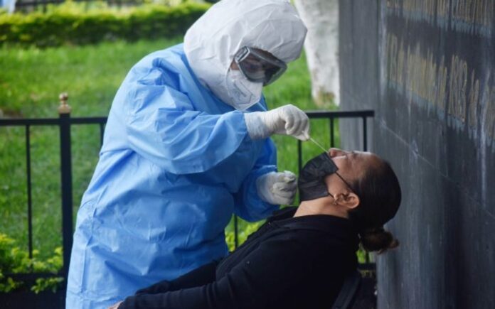 covid-19-coronavirus-variante-yucatan-mexicana-xibalba-bw-1-28112022-700x438