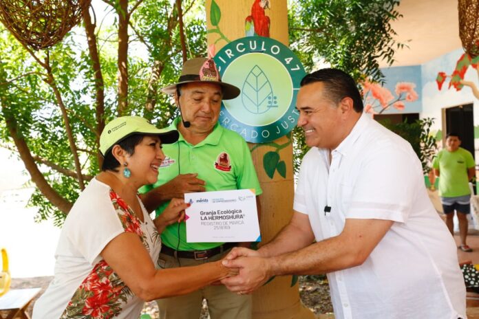 Sustentabilidad 2023-08-15 at 4.28.15 PM