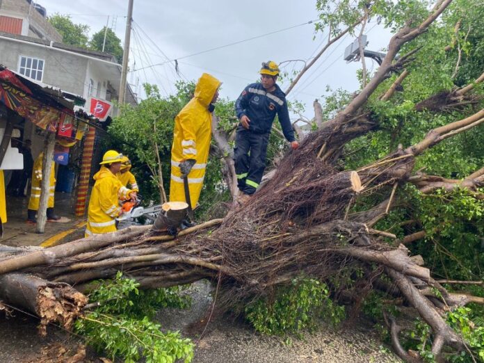 tormenta-kay-deja-tres-muertos-en-guerrero-357335