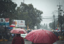 SMN alerta por lluvias peligrosas, vientos fuertes y onda de calor extrema en estos estados este miércoles