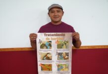 Refuerzan brigada contra el gusano barrenador en Yucatán