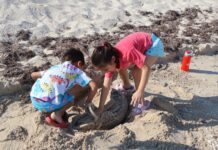 Sanean Playa Cerditos como parte del programa de limpieza costera