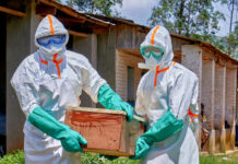 El brote de ébola alcanza ya los 220 muertos: «La epidemia nos está superando»