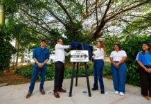 Avanza Cecilia Patrón en la protección de los árboles meridanos al declararlos patrimonio de la ciudad.