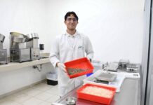 Yucatán destaca en estrategia nacional contra el dengue con solo nueve casos registrados