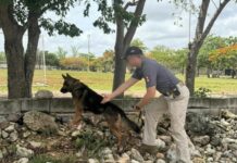 Certifican a binomios caninos de la SSP