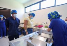 Refuerzan acciones por la salud y el bienestar de los animales de compañía.