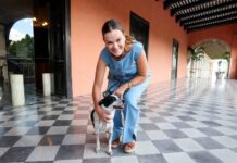 Buscan la adopción responsable de animales de compañía mediante la campaña ‘Haz match’”
