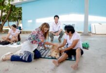 Buscan fortalecer la salud pública, promover la adopción y acercar servicios veterinarios accesibles a colonias y comisarías