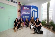 Fortalecen la atención del autismo con “De la calle al corazón”
