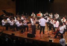 Variedad de géneros musicales en Temporada Olimpo.