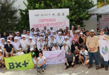 Frenan contaminación costera en Chicxulub Puerto